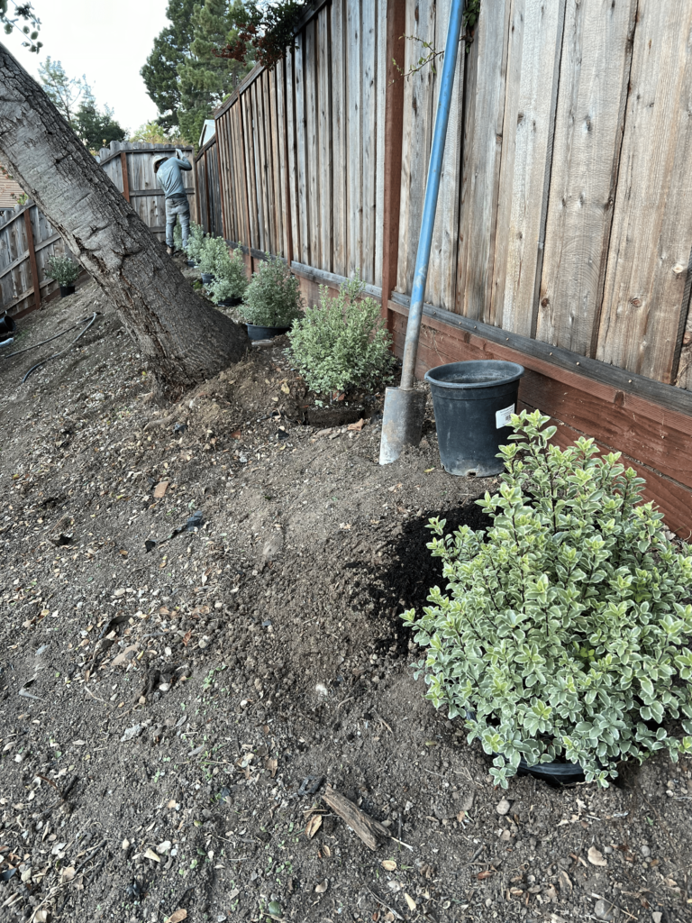 20231201_001315555_iOS