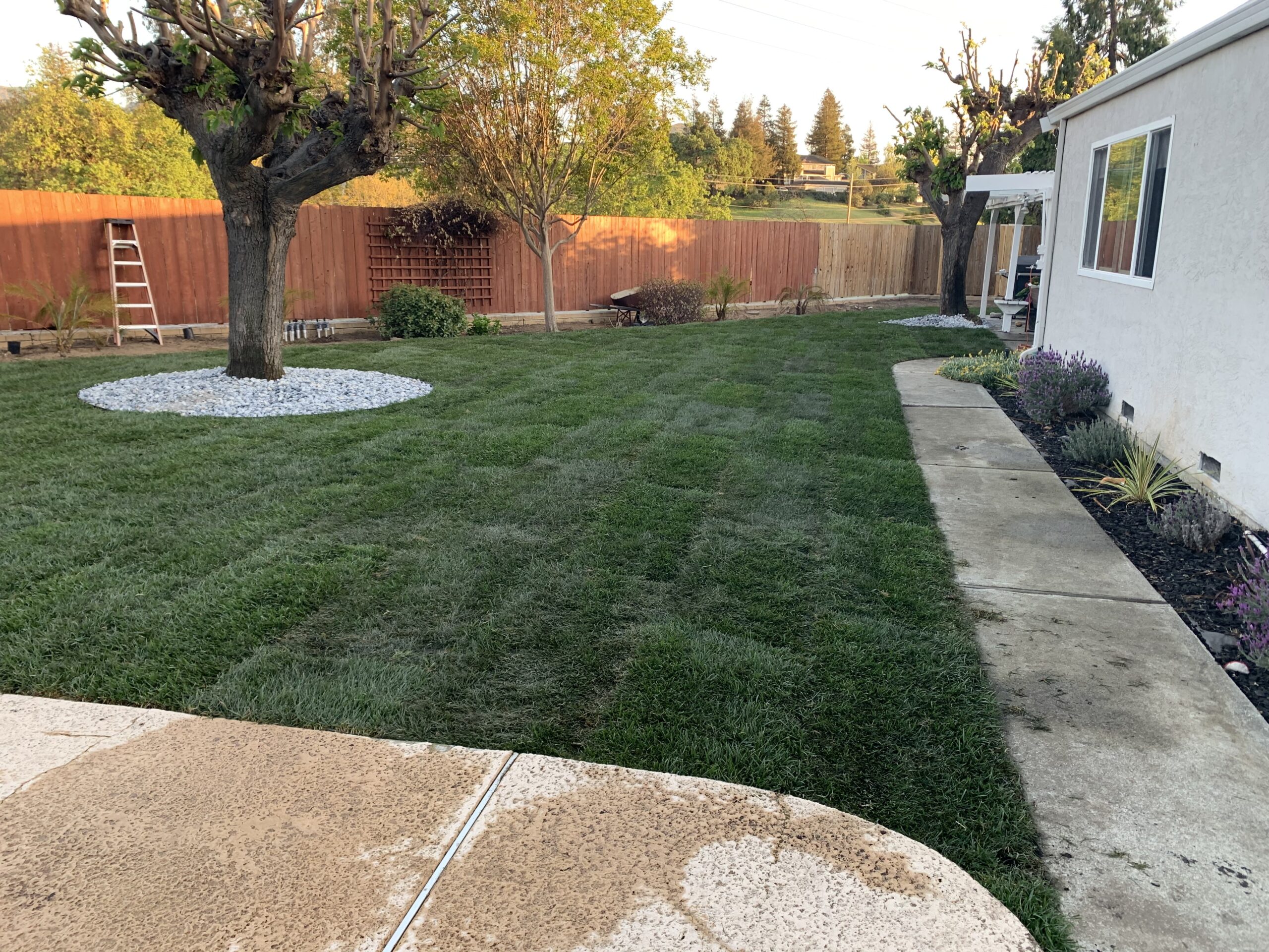 Lawn Aerating