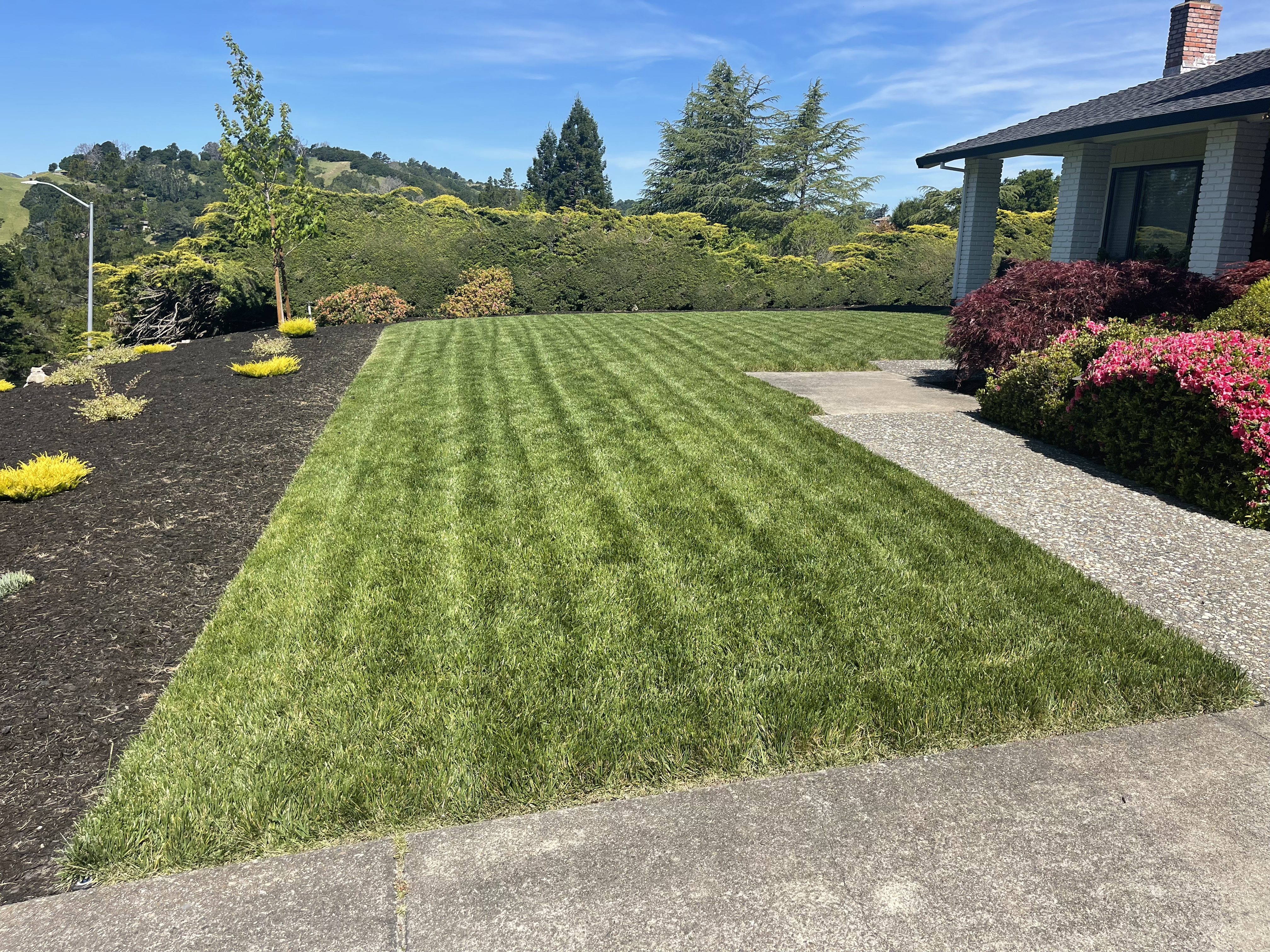 Lawn Aerating